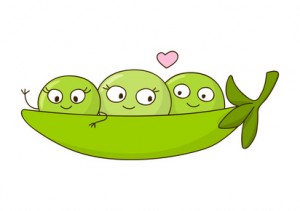 Cute peas isolated on white